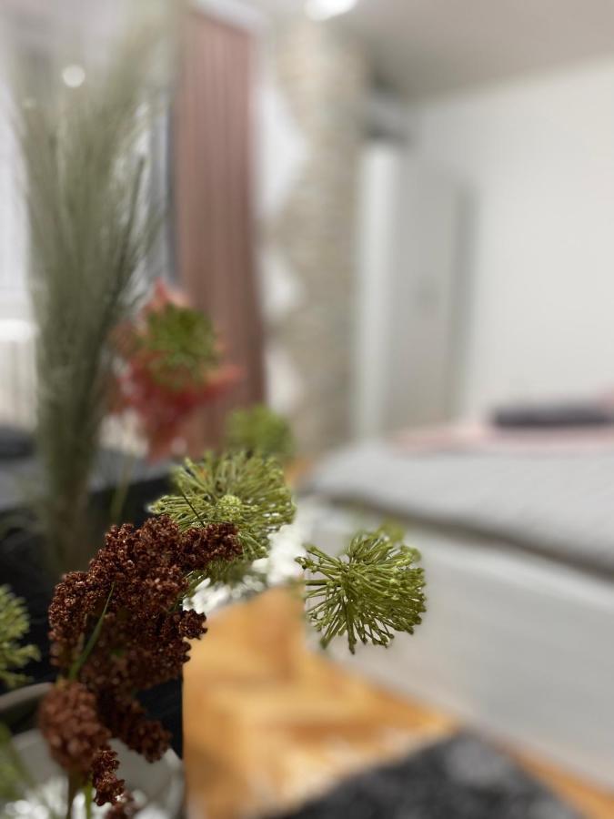 Apartman Bonaca Ni Extérieur photo