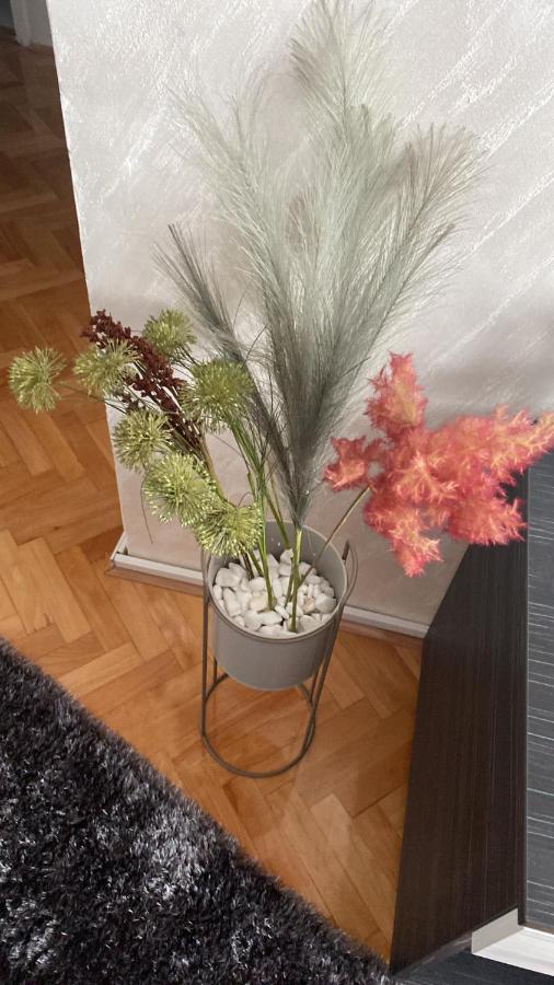 Apartman Bonaca Ni Extérieur photo